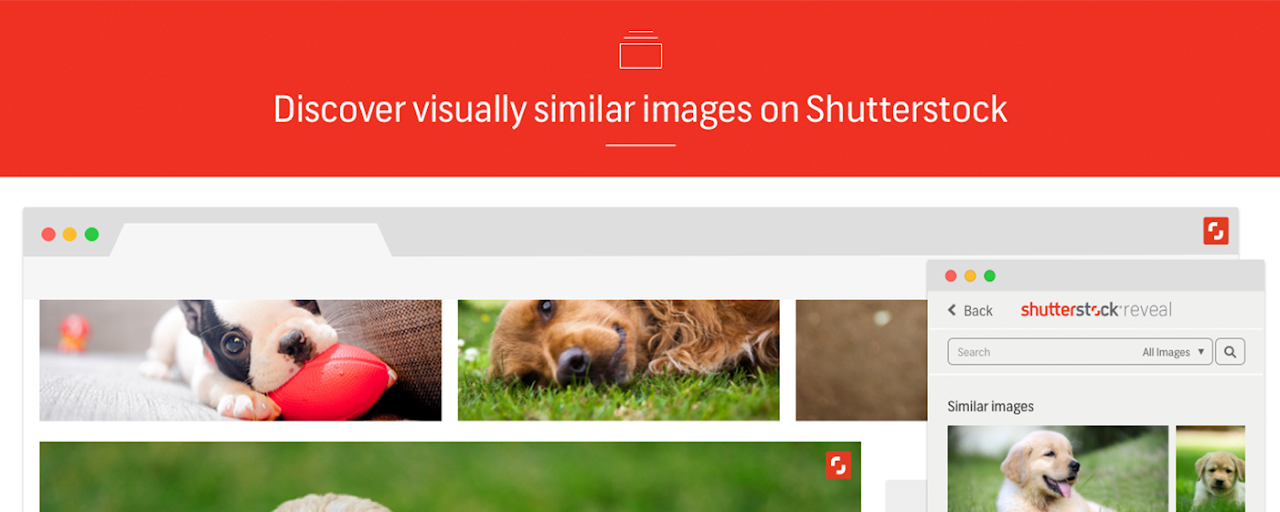 Shutterstock Reveal Preview image 2