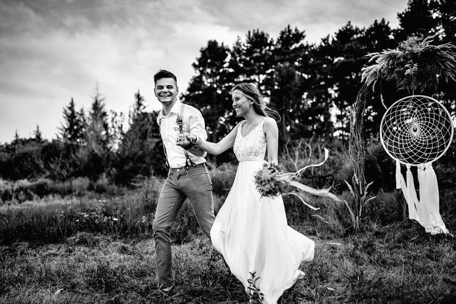 Fotografo di matrimoni Aleksandr Klimenko (stavklem). Foto del 7 agosto 2017