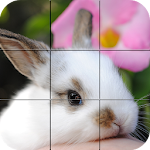 Cover Image of Download Puzzle - Cute bunnies 1.14 APK