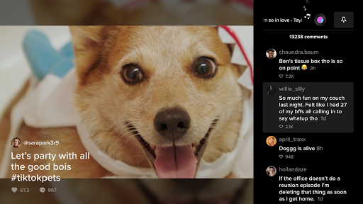 Screenshot TikTok for Android TV