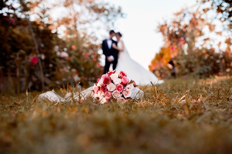 Fotografo di matrimoni Cekim Atolyesi (design48photoart). Foto del 23 febbraio 2020