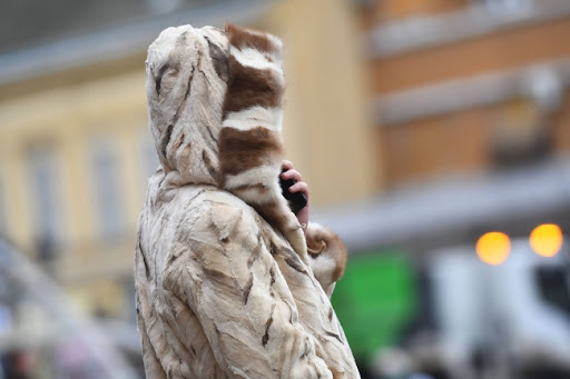 Danas ujutru na severu i zapadu Srbije prolazno naoblačenje, susnežica i poledica