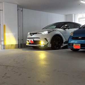 C-HR ZYX10