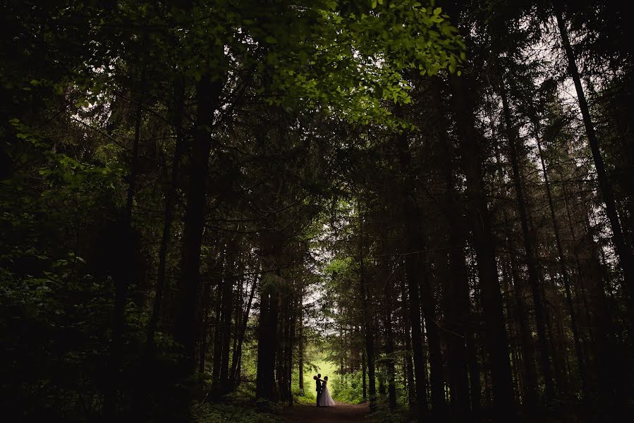 Wedding photographer Tibor Erdősi (erdositibor). Photo of 8 June 2016