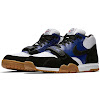 polar skate co. x nike sb air trainer 1 qs