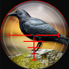 Forest Crow Hunter 3D - Sniper Shooting Simulation 1.0