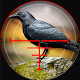 Forest Crow Hunter 3D - Sniper Shooting Simulation