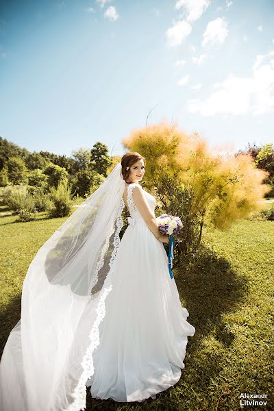 Fotógrafo de casamento Aleksandr Litvinov (zoom01). Foto de 23 de novembro 2017