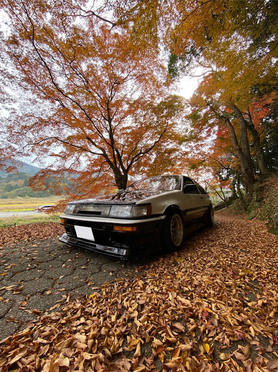 カローラレビンの紅葉ドライブ・ねむいです( σω-)に関するカスタム事例の投稿画像6枚目