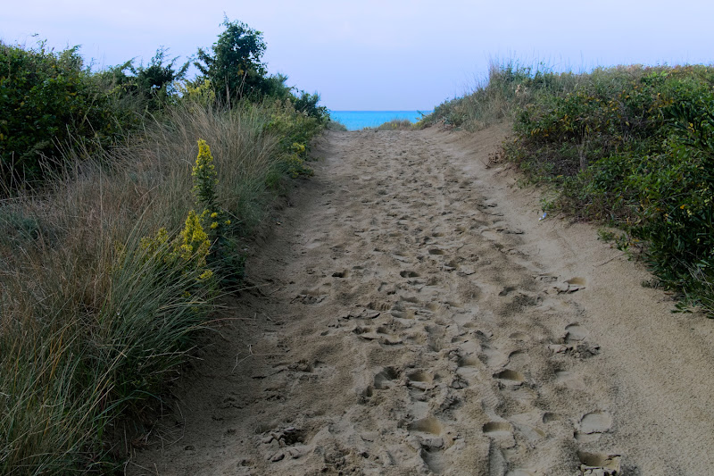 Verso la spiaggia di Bat21