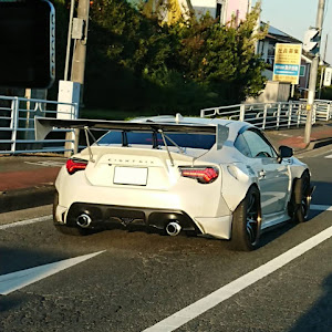 86 ZN6