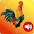 Animal Ringtones - Bird Ringtones & Wallpaper 3.0