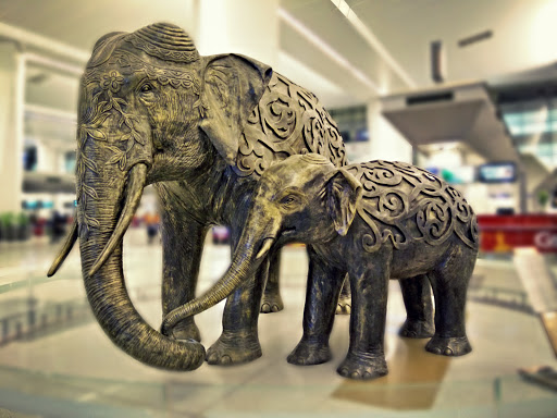 The Indian Elephant