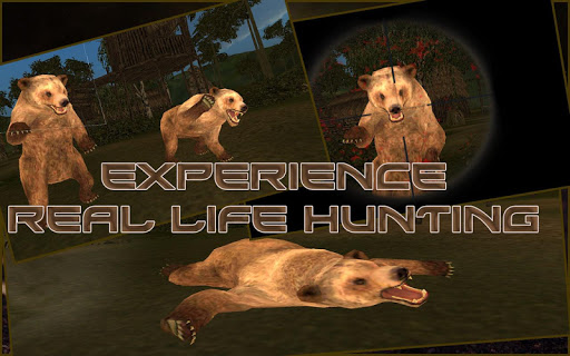 Bear Hunting : Sniper 3d 1.8 screenshots 8