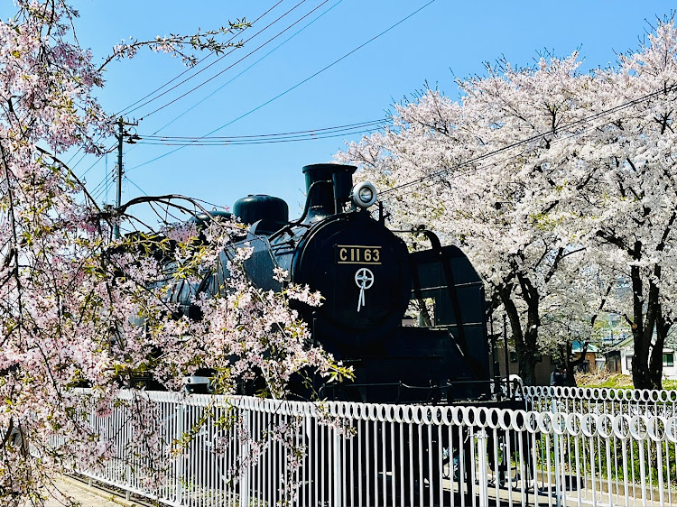 の投稿画像8枚目