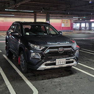 RAV4 MXAA54