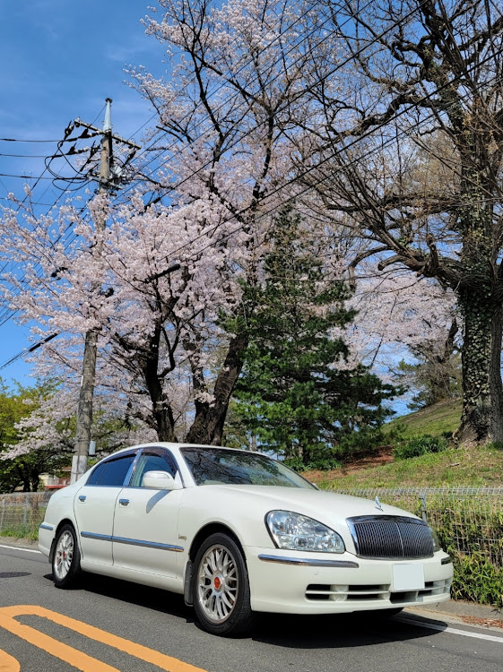 プレジデントのプレジデント・PGF50・F50プレジデント・BBS・赤バッジに関するカスタム事例の投稿画像1枚目