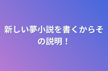 新しい夢小説を書くからその説明！