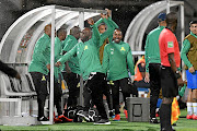 The  Mamelodi Sundowns bench erupts with joy folloing a goal against Lobi Stars in Atteridgeville on Saturday. /Lefty Shivambu