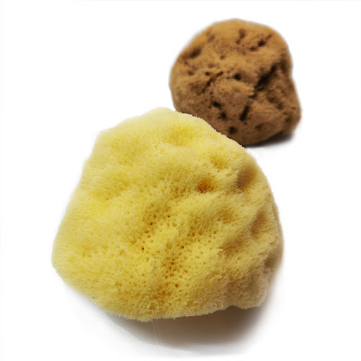 Title 1, Natural Velvet Makeup Remover Sponge