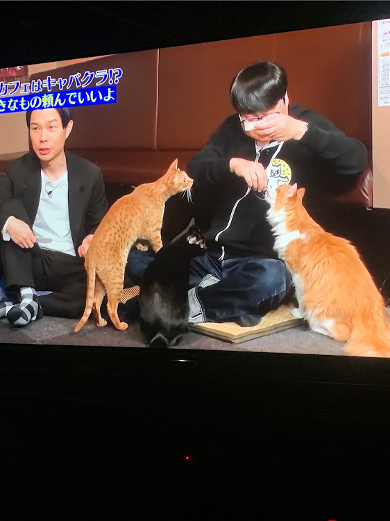 フェアレディZのギムレットさんが投稿したカスタム事例の投稿画像2枚目