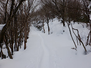 踏み固められたハイウェイに