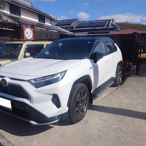 RAV4 AXAP54