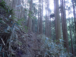 尾根への急登