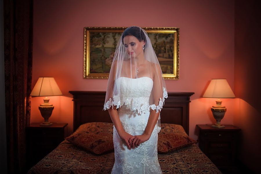 Fotografo di matrimoni Darina Limarenko (andriyanova). Foto del 2 dicembre 2014