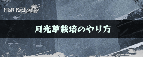 ニーアレプリカント_月光草のやり方