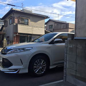 ハリアー