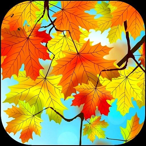 Puisi Daun Daun Gugur Lagi - Kumpulan Puisi