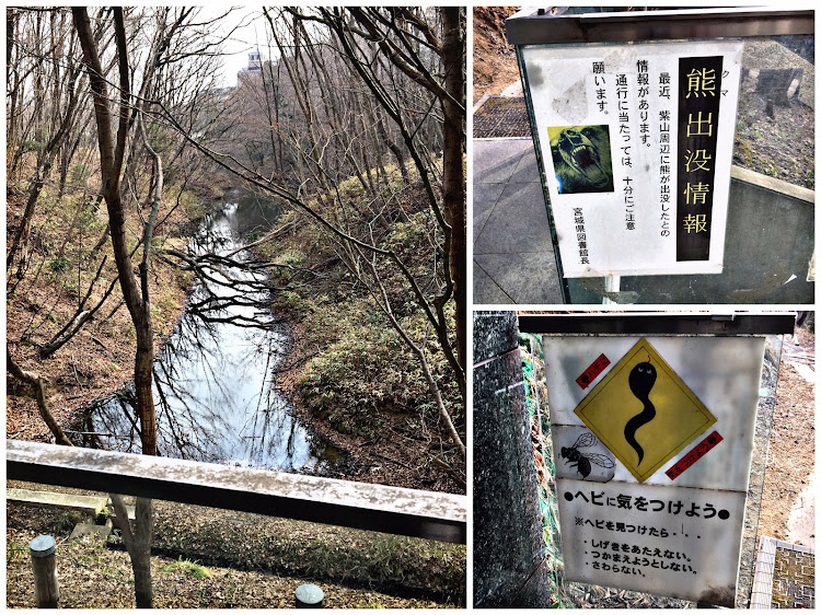 BRZの宮城県・ユアテックスタジアム・宮城県図書館・図書館戦争・宮城県いい所シリーズに関するカスタム事例の投稿画像3枚目