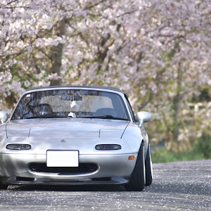 ロードスター NA8C