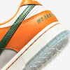 florida a&m x nike dunk low