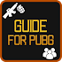 Guide for PUBG2.6.1