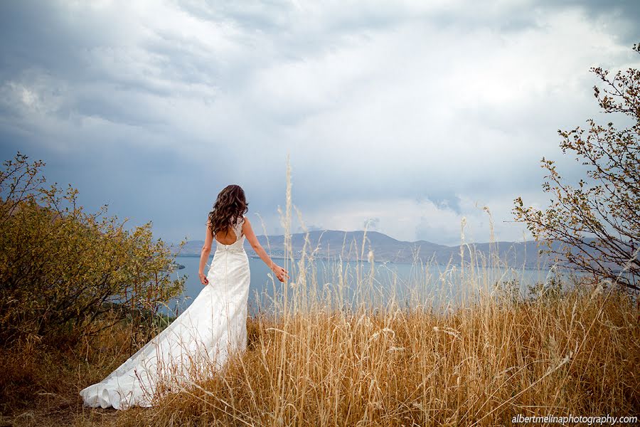 Svatební fotograf Melina Pogosyan (melinapoghosyan). Fotografie z 20.listopadu 2018