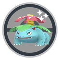 Venusaur - Shiny On