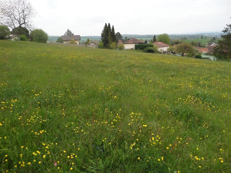 Vente terrain  601 m² à Hericourt (70400), 78 000 €