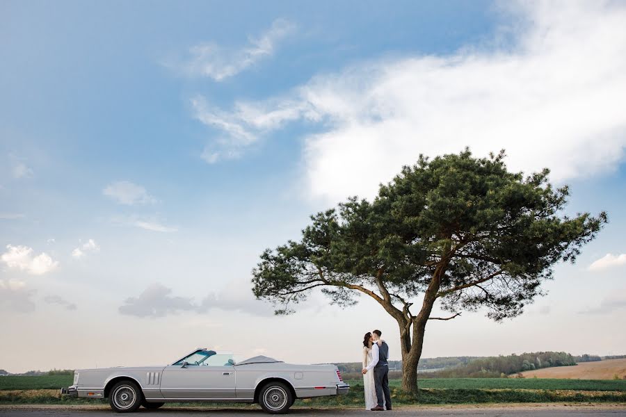 Fotógrafo de casamento Lena Trushko (elenatrushko). Foto de 29 de abril 2019