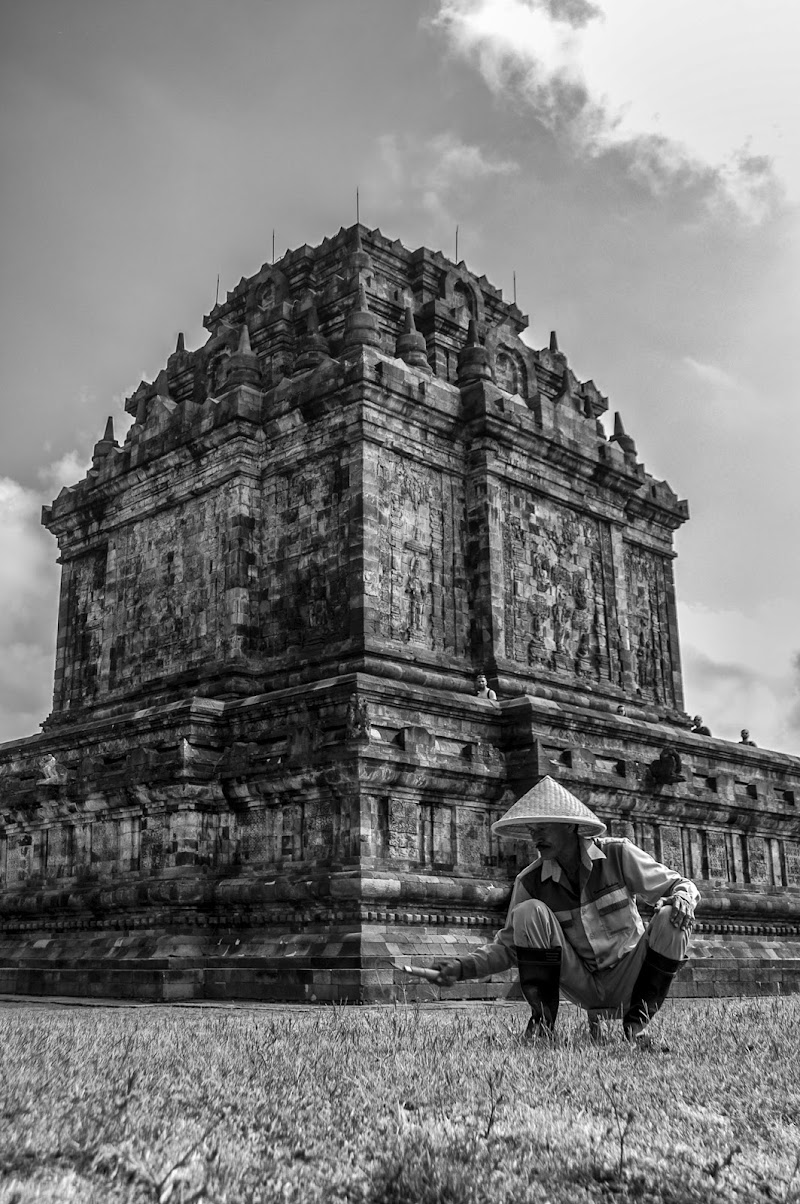 Il giardiniere indonesiano di Artlele