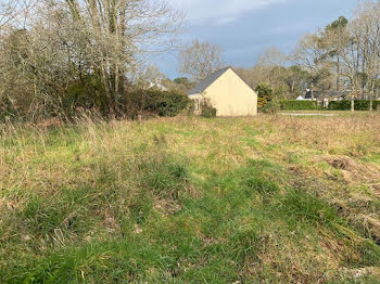 terrain à La Chapelle-des-Marais (44)