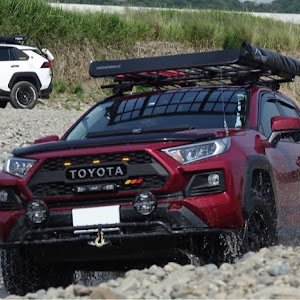 RAV4 MXAA54