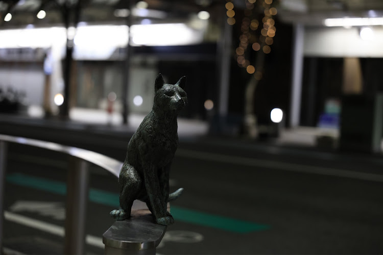 ゴルフGTIの沼津はいいぞ・千本浜公園・貴方の街のガソリン価格は？・184円（ハイオク）に関するカスタム事例の投稿画像25枚目