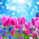 Spring Flower Live Wallpaper icon