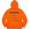 worldwide hooded sweatshirt ss23