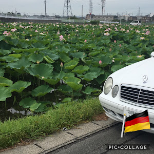 CLK クーペ C208