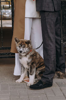 Wedding photographer Katrin Shustrova (katrinshus). Photo of 25 December 2023