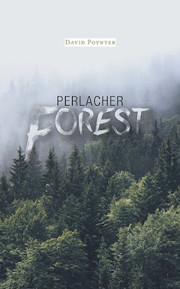 Perlacher Forest cover