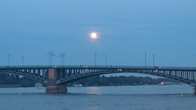 21-05-2016: PASEO POR RÜDESHEIM Y TRASLADO A MAGUNCIA. - CRUCERO POR EL RHIN ROMÁNTICO Y EL MOSELA. FIN DE FIESTA EN DISNEYLAND PARIS (28)